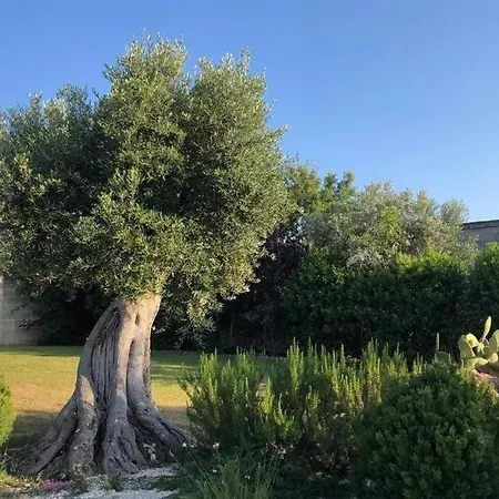 Luxury Mariachiara Villa Monopoli