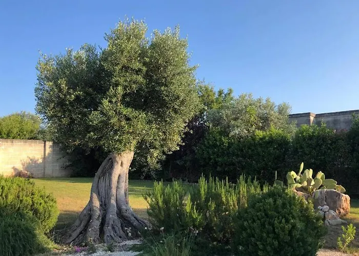 Luxury Mariachiara Villa Monopoli